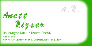 anett mizser business card